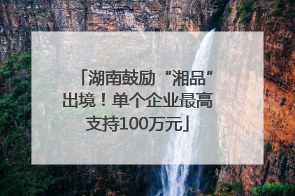 湖南鼓励“湘品”出境！单个企业最高支持100万元